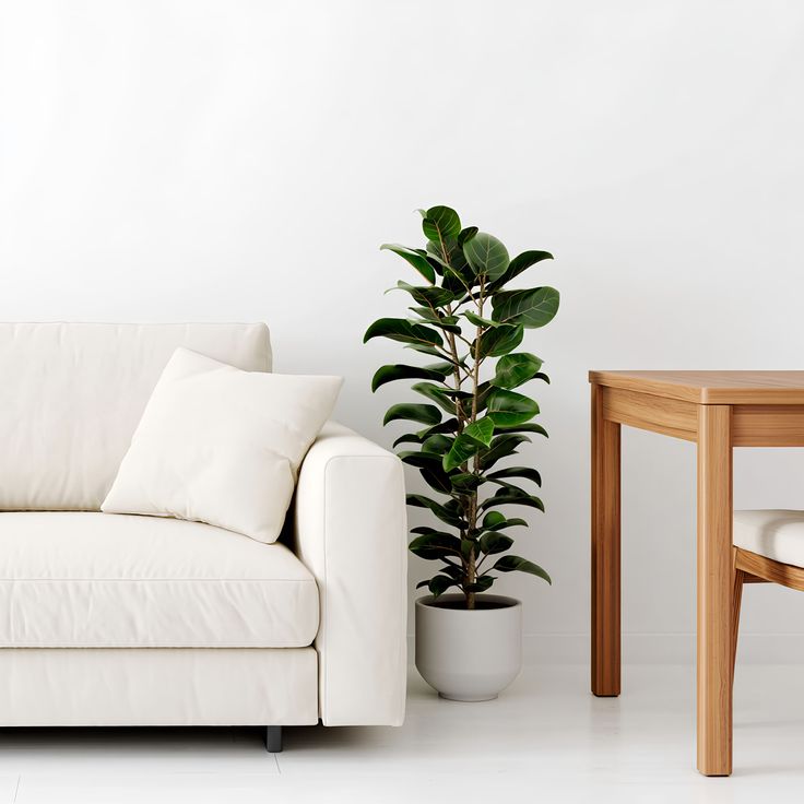 Everyday Home Upgrade