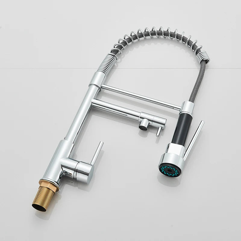 Chrome kitchen faucet with flexible hose and spray head