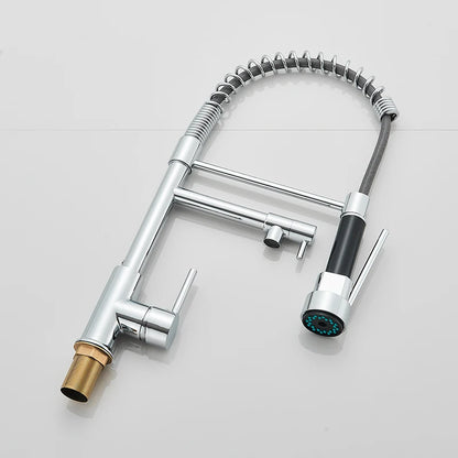 Chrome kitchen faucet with flexible hose and spray head