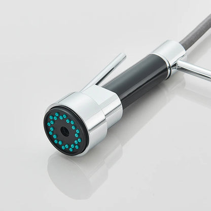 Chrome kitchen faucet